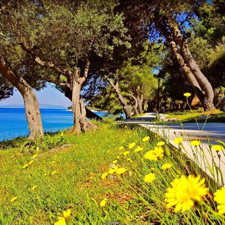 Apartment Gordana Cres Εξωτερικό φωτογραφία